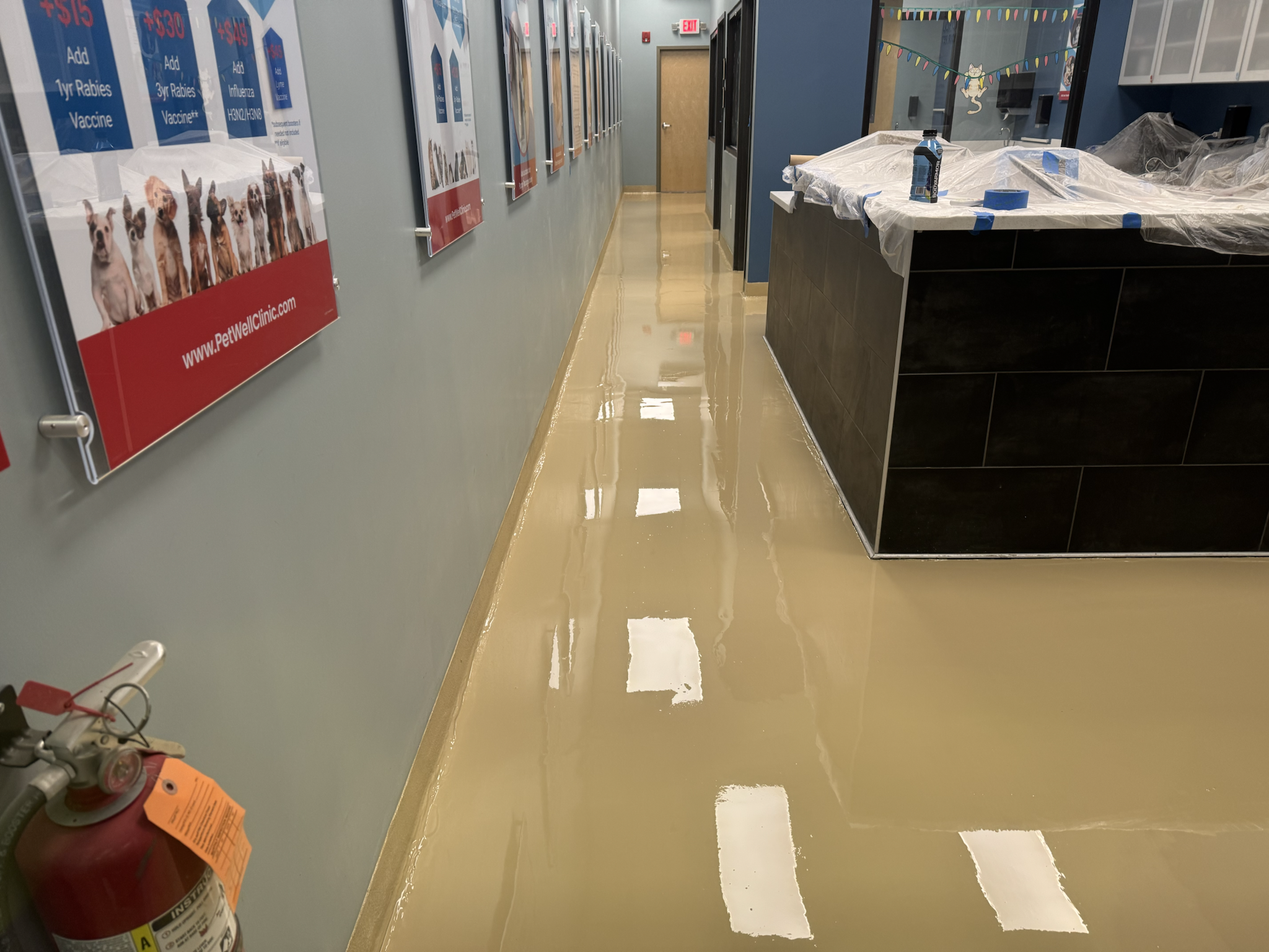 Pet clinic — wet epoxy application