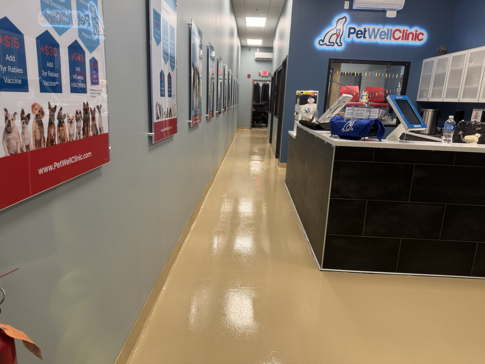 Veterinary Clinic Neat Epoxy Floor in Manchester, NH